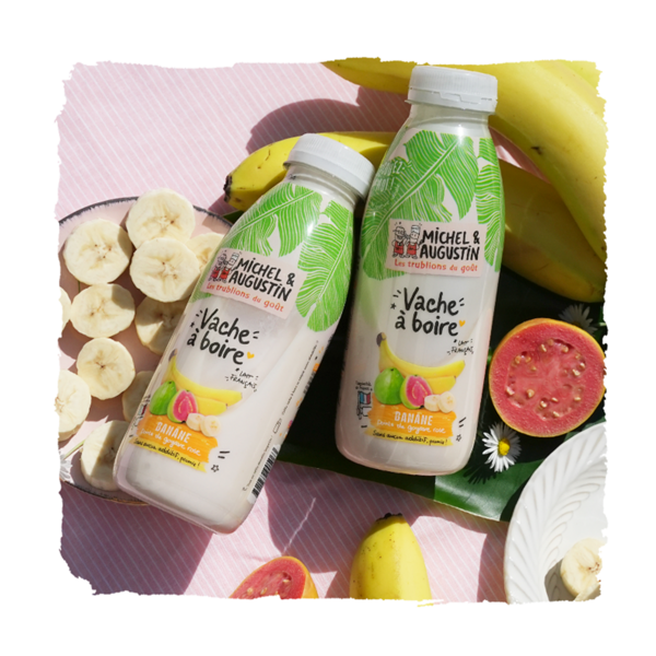 Notre incroyable vache à boire