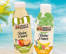 Vache à boire Summer